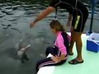 Objatie od delfína?!