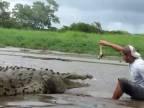 Ako nekŕmiť krokodíla