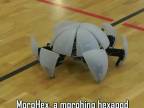 Coolový robot MorpHex