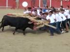 Nová španielska zábavka s býkom