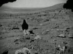 Vedci objavili na Marse život, tu je dôkaz!