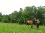Horsemanship - Veronika a Hakim