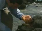 Bear Grylls - Boj o prežitie - 01x08 - Opustený ostrov