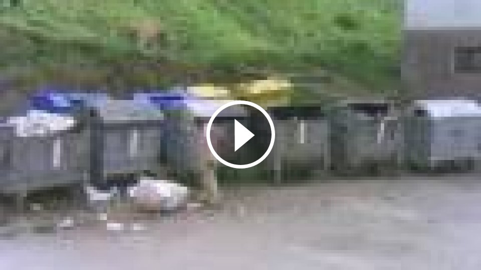 Ciganska Muva Ciganka 1 - Mojevideo