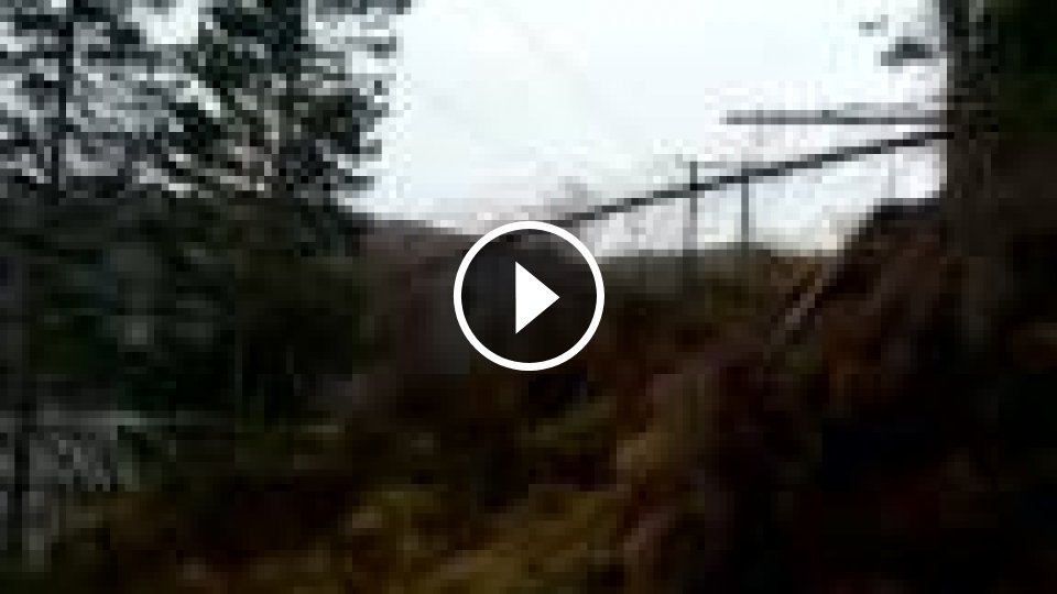 Odstraňovanie stromu z elektrického vedenia - Mojevideo