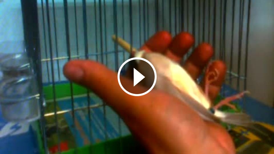 Hypnóza - tajomstvo daru ducha - Mojevideo