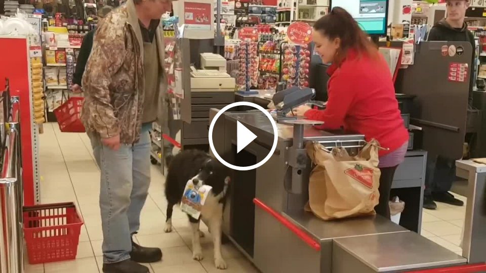 Borderka Hali na nákupe v supermarkete! Mojevideo