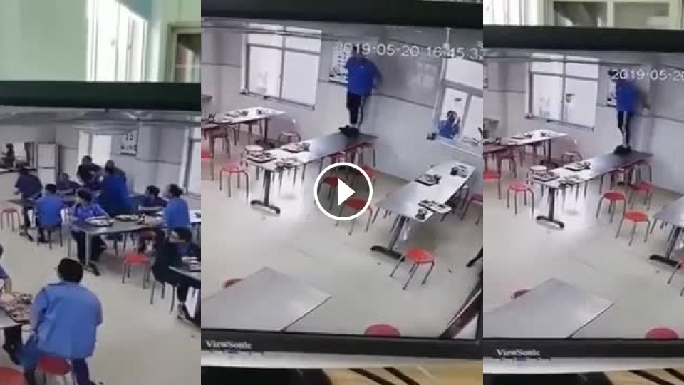Chlpatý narušiteľ obednej prestávky - Mojevideo