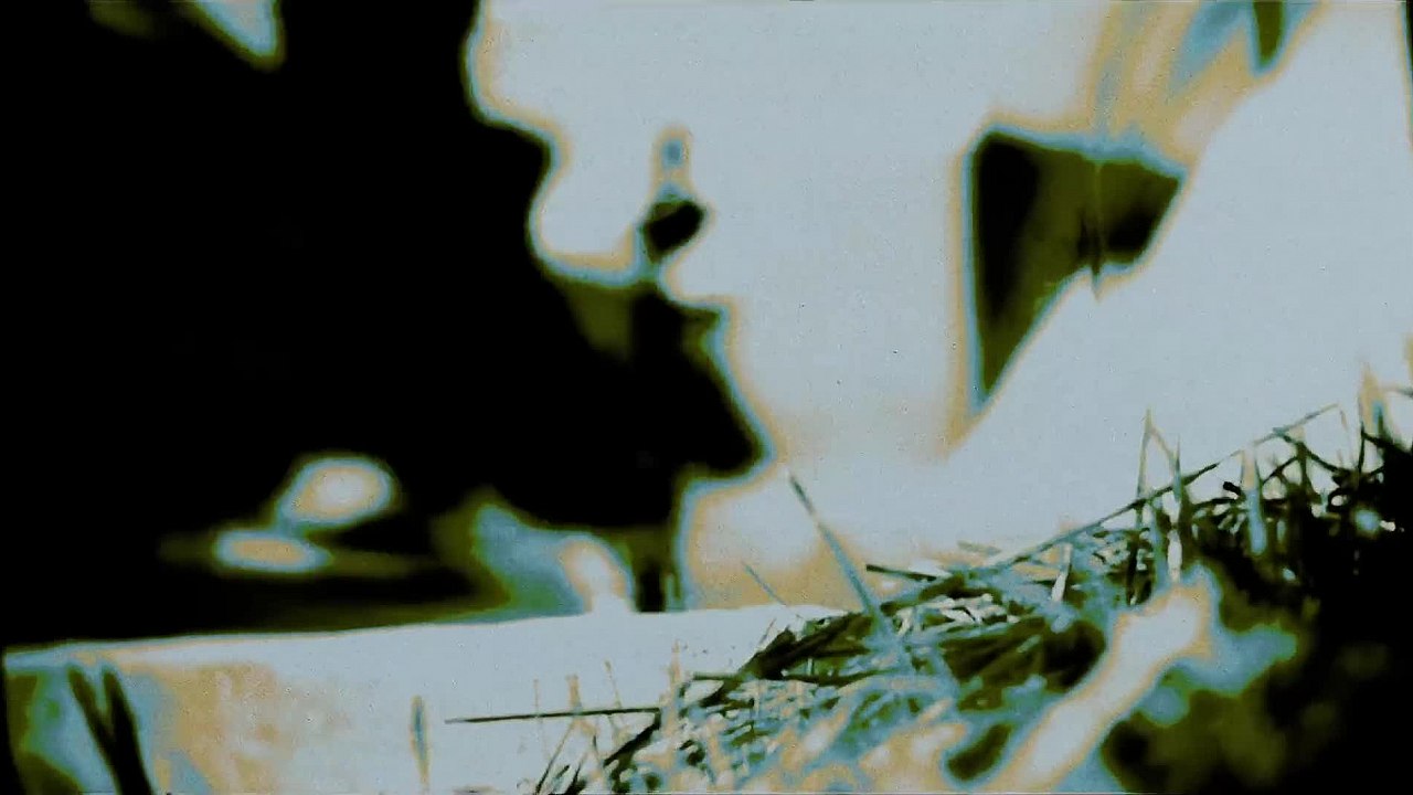 Ian Carey Project X Sammy Porter Get Shaky Mojevideo