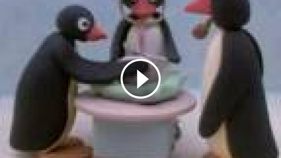 Pingu Porn