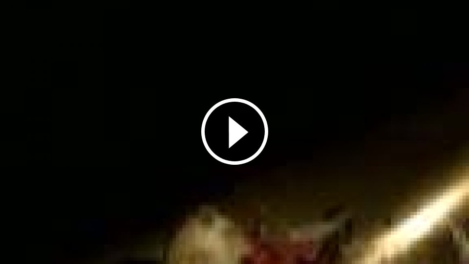 Lesopard vs. divá sviňa. - Mojevideo
