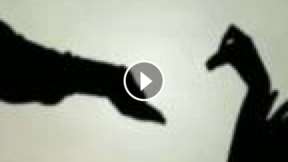 Rozprávka s tieňmi - Mojevideo