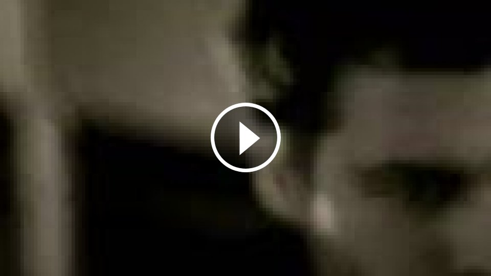 Kok*t Politik - Mojevideo