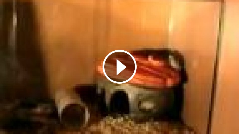 Análny sex klady a zápory