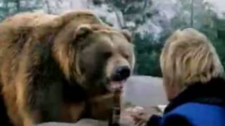 Medveď má rád pivo
