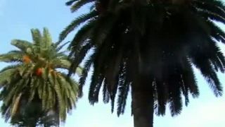 Korčula je len jedna