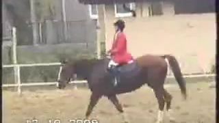 Veľký Šariš 2008 jazdecké preteky