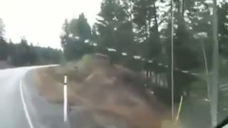 Srnka sa pošmykla na zľadovatenej ceste