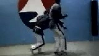 Yoseikan budo