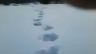 Malý chlapec natočil jedny z najkvalitnejších záberov yetti