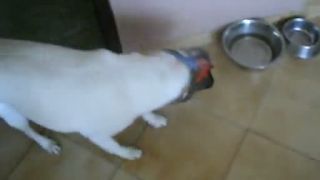 Teddy a obal z kurata :D