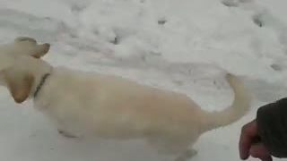 Ted a klacik