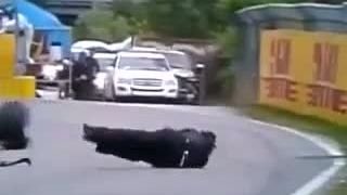 Smoliar na F1