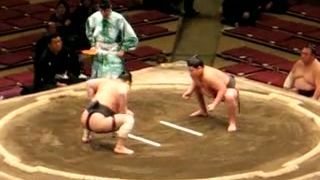 Sumo