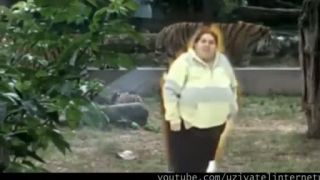 Cigánka sere v zoo