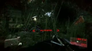 Crysis 3 pokracovanie,Viper vo vysokej trave a kanon v ruke.