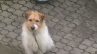 Benny111