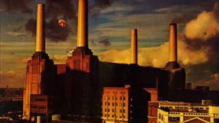 Pink Floyd - Dogs