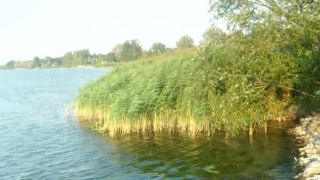 Balaton - Maďársko