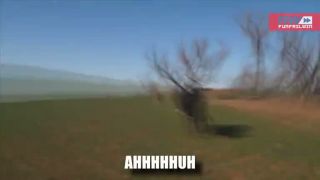 Šialená krava Mad Cow vs Inception __ FFW