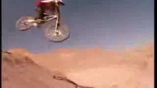 Freeride mountain bike jumps