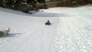 Aj bez lyzi sa da :D