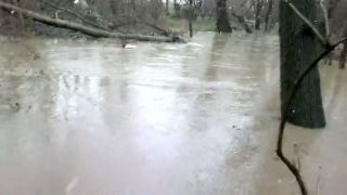 Voda vodička