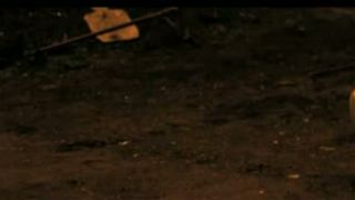 Brokovnica slow - motion