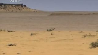 Najvetšie tankové bitky El Alamein