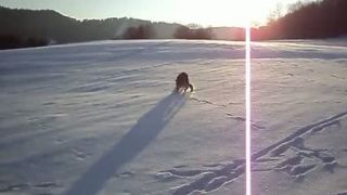 Aport na počkanie :)