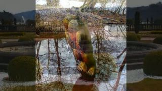Trentham Estate, Stoke on trent, UK - My photo