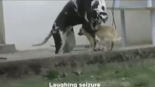 Psačí labužníci