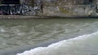 Adrenalinovy kacer