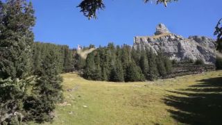 Best of wingsuits 2013