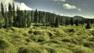 Národný park Šumava