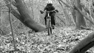 Freeride donwhill