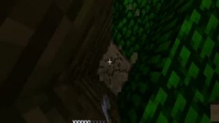 Minecraft Survival[part1]