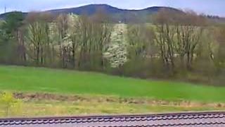 28.4. 2013