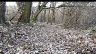Freeride video