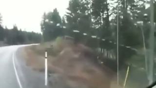 Jeleň FAIL